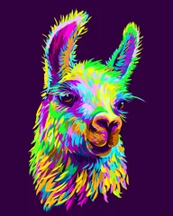 Foto auf Alu-Dibond Alpaca / Llama portrait. Abstract, hand-drawn, multi-colored portrait of an alpaca / llama on a dark purple background. © AnastasiaOsipova