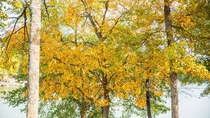 Fall Colors around Tega Cay SC