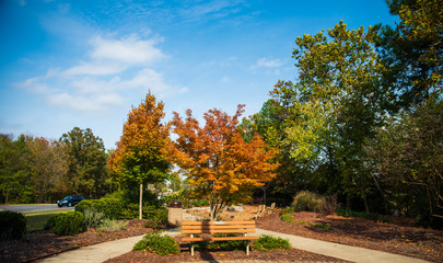 Fall Colors around Tega Cay SC