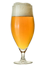 Beer glass with drops isolated on a white