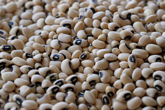 dry kidney bean on white background