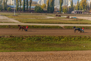 Beautiful UKRAINE. Kiev hippodrome. October 27, 2019