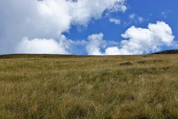 Obraz premium Typical mountain landscape from the pastures