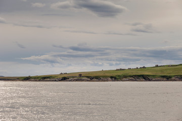 Orkney Islands coastline during a summer day, Scotland.