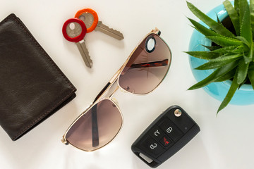 wallet, keys, sunglasses, car keys and plant