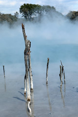 Rotorua Neuseeland heiße Quellen