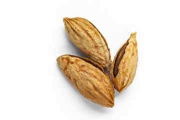 Three inshell almonds lie on a white background