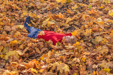 Obraz premium cheerful boy in a red jacket and blue jeans looks up to the sky, lying in yellow leaves in the autumn forest
