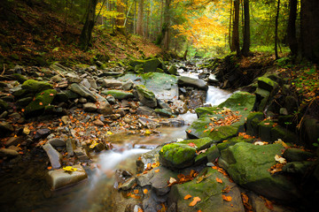Potok Konina © Grudnik Photography