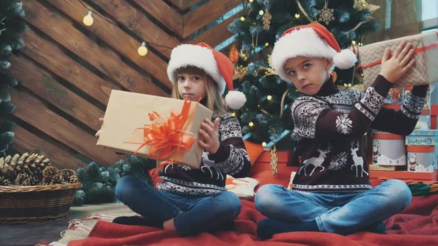 Little twins sitting under christmas tree, shaking and fiddling around with present boxes, finding out what is inside.