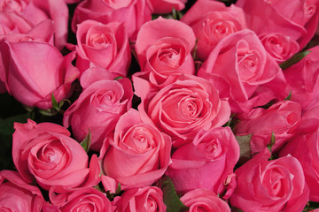 bouquet of pink roses as background