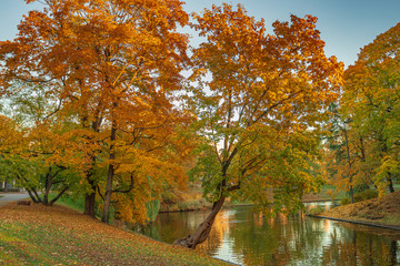 Fototapeta na wymiar Beautiful autumn colors in the park with river. Riga, Latvia