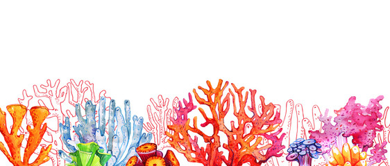 Colorful corals in a row. Hand drawn watercolor and outline illustration © Alexandra