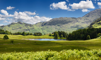 Obraz premium Blea Tarn pond in Little langdale valley with Wetherlam and Birk Fell hills Lake District National Park England