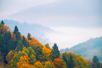 Autumn landscape in Slovenia