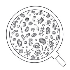 Bacterial microorganism through magnifying glass outline. Doodle style. Illustration of different germs, primitive organisms, micro-organisms, disease-causing objects, cell cancer, bacteria, viruses