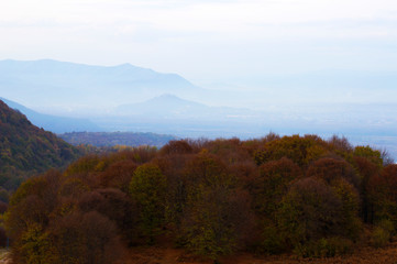 Panoramic view of autumn forest, Carpathian mountains, Ukraine. Horizontal outdoors shot
