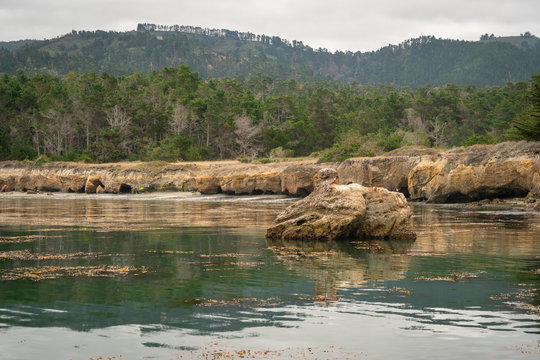 Point Lobos State Natural Reserve