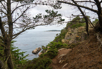 View of the Ocean at Point Lobos State Natural Reserve