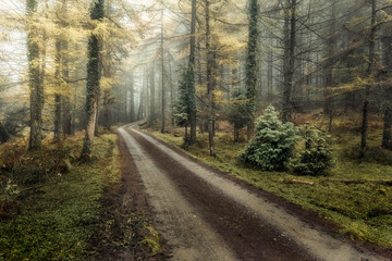 Obraz premium P.N. Gorbea, basque Country