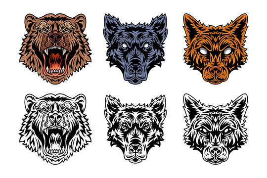 Animal face bear, wolf, fox vintage retro style. Vector illustration isolated on white background. Design element.