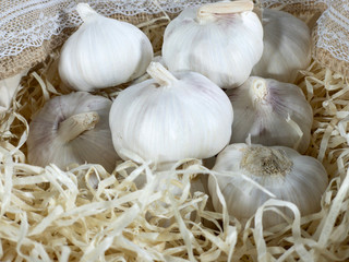 Garlic in a bag.