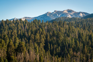 Moro Rock at Sequoia National Park
