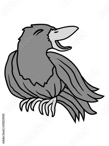Fototapete Lachende Krahe Rabe Vogel Lustig Witzig Spass Comic Cartoon Clipart Design Glucklich Frech Auslachen Gemein Style O Mat