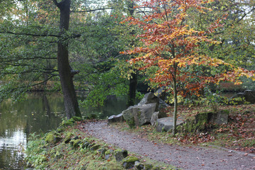 German autumn forest with monoliths.  