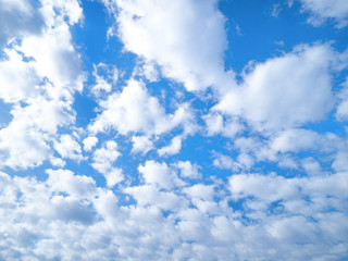 初夏の青空と雲