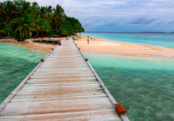 camino de madera hacia bosque de palmeras y playa