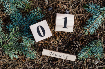 1 January. Date on wooden cube calendar in the forest with cones. New year concept. Start of the new life.