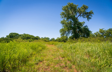 The Landscape of Washita Battlefield National Historic Site
