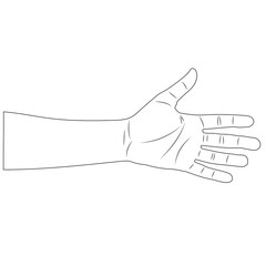 male white wrist. isolated outline vector illustration