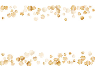 Gold seashells vector, golden pearl bivalved mollusks.