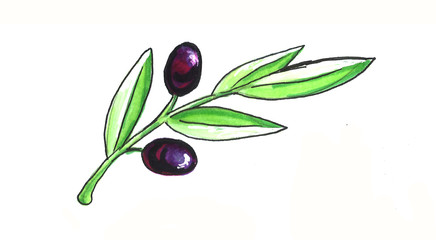 Bright hand drawn watercolor wine design elements (in vino veritas - verity in wine). Cheese, olives, glass, lettering