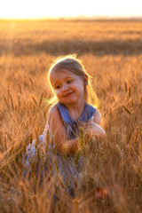 Little cute blonde girl in the blue dress in the wheat field at sunset tears spikelets of wheat. The harvest summer golden wheat. Qualitative futured bread.