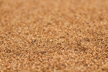 Building sand. Close-up. Blurred background around the edges. Texture.