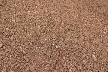 Soil in the garden. Close-up. Top view. Background. Texture.