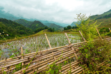 Fototapeta na wymiar Beautiful shot of Sapa and the surrounding mountains in North Vietnam during a overcast day in Autumn 2019