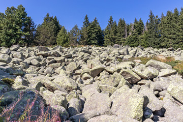 Landscape with Moraine at Vitosha Mountain, Bulgaria