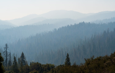 View into the Forest Fire Smoke at Yosemite National Park