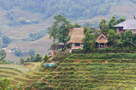 Houses and homes on top of Rice terraces outside the beautiful village of Sapa in Northern Vietnam, surrounded by mountains