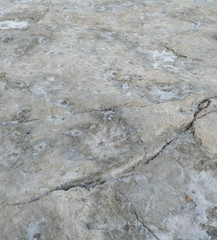 large layer of limestone stone