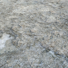 limestone stone texture natural material