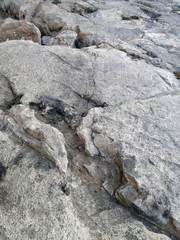 large layer of limestone stone