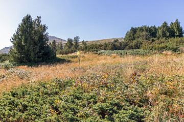 Autumn landscape of Vitosha Mountain, Bulgaria