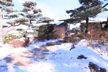 Winter Nature Hike Culture