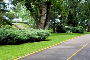 Bicycle asphalt road with a dedicated lane for bicycle traffic, an empty road with a green grass and bushes on the side of the road.