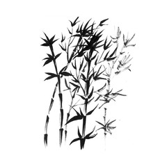Bamboo stems in Japanese style hand drawn illustration. Branches with leaves traditional Asian black ink drawing. Botanical watercolor minimal design element on white background